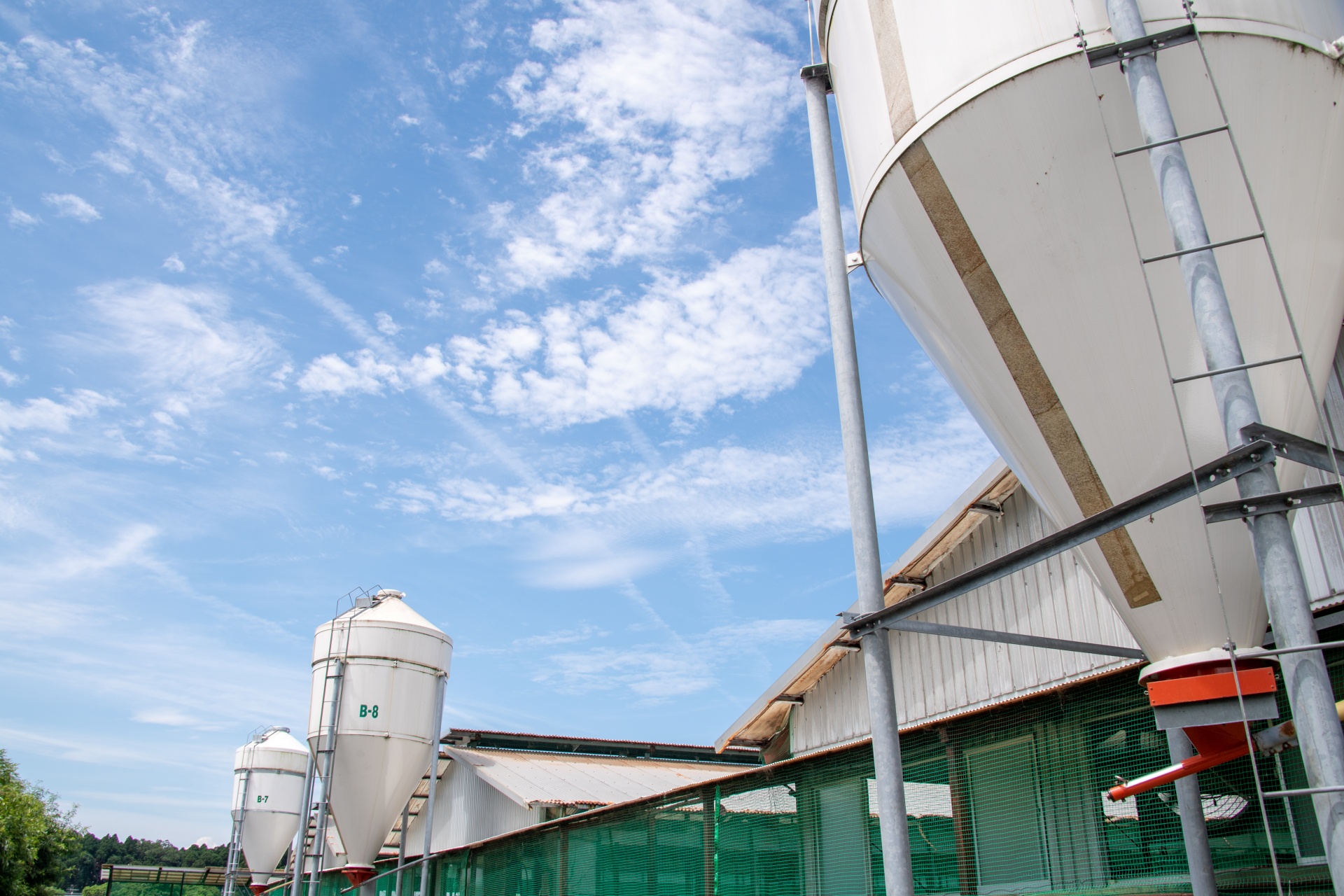 6次産業化された強みが、働くスタッフにもおもしろい