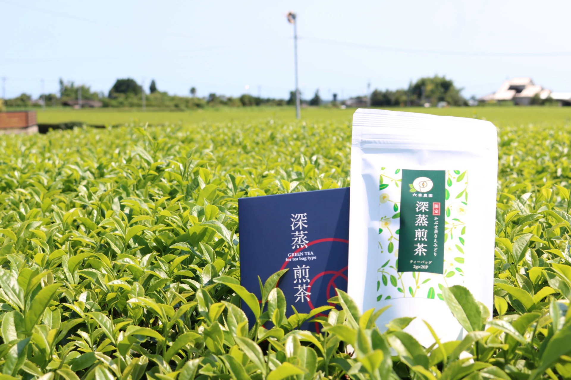 お茶の香りに包まれた…心地よい職場