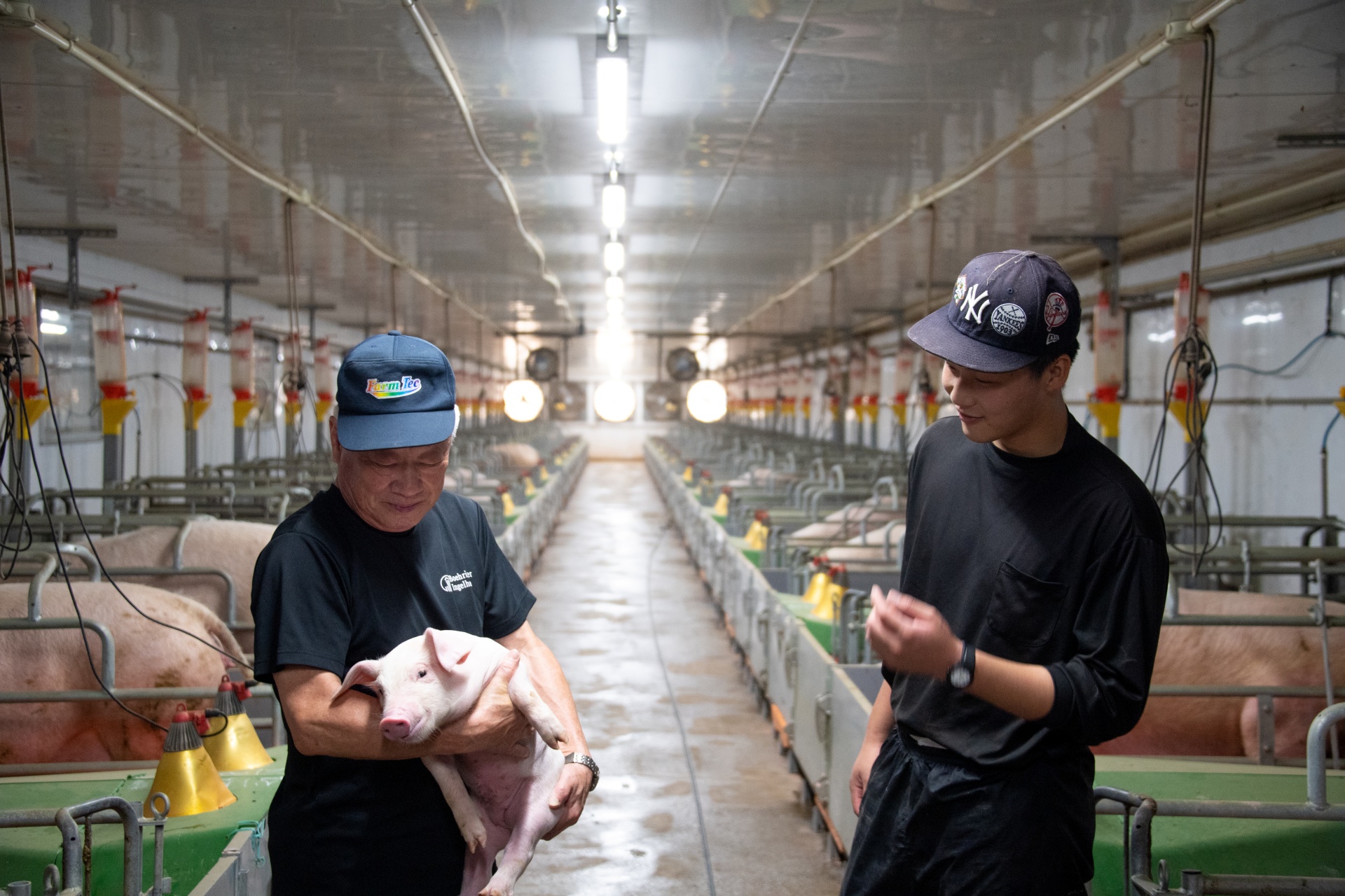 最新の技術を活かした知られざる養豚業