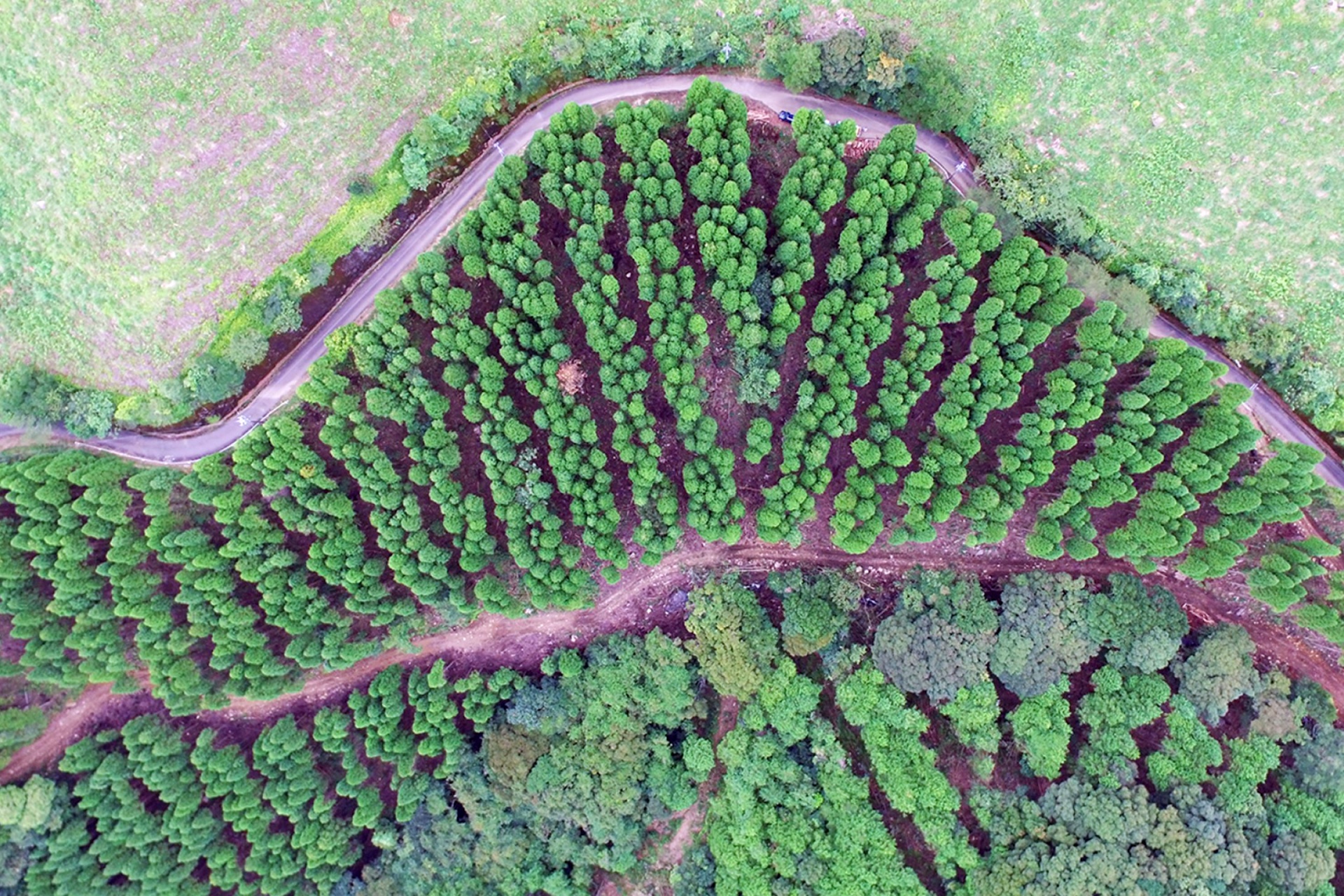 山に木を植え、育てて、木を切る…だけじゃない魅力